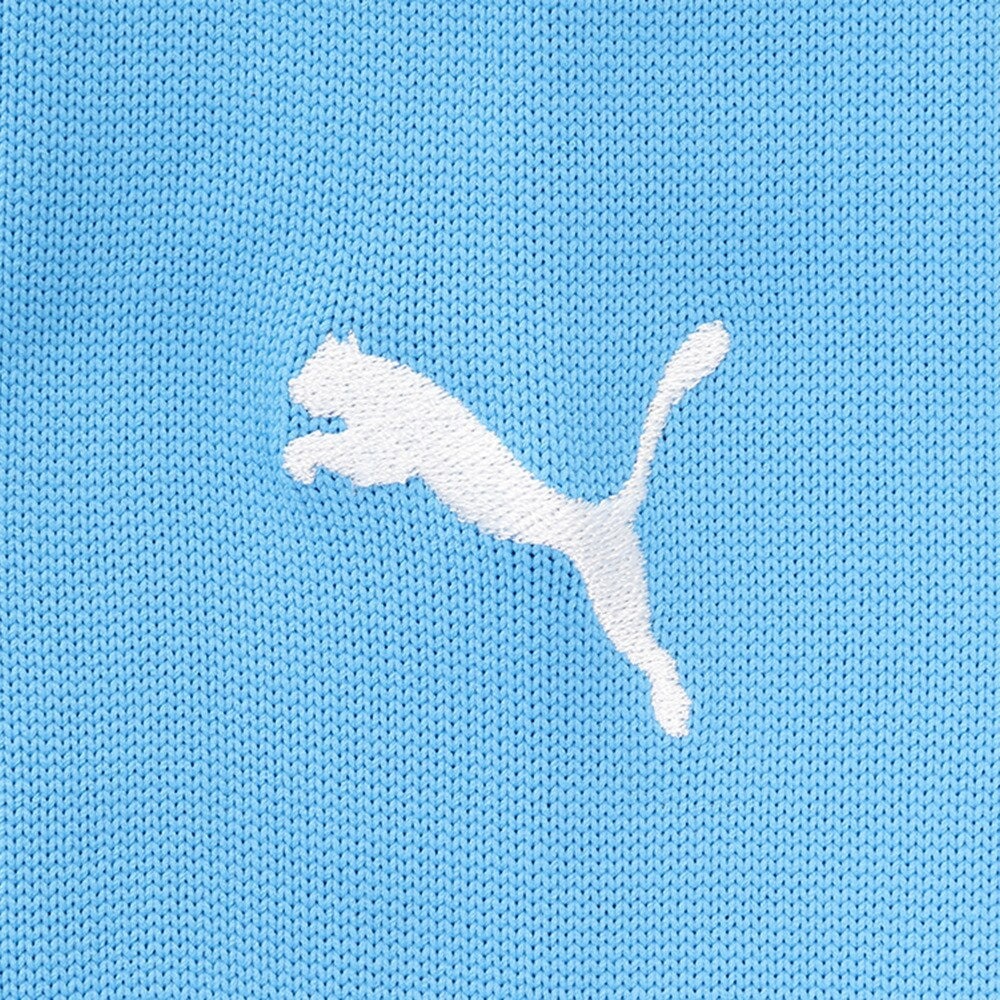 プーマ（PUMA）（メンズ）サッカー ソックス LIGA ストッキング 72987913 靴下
