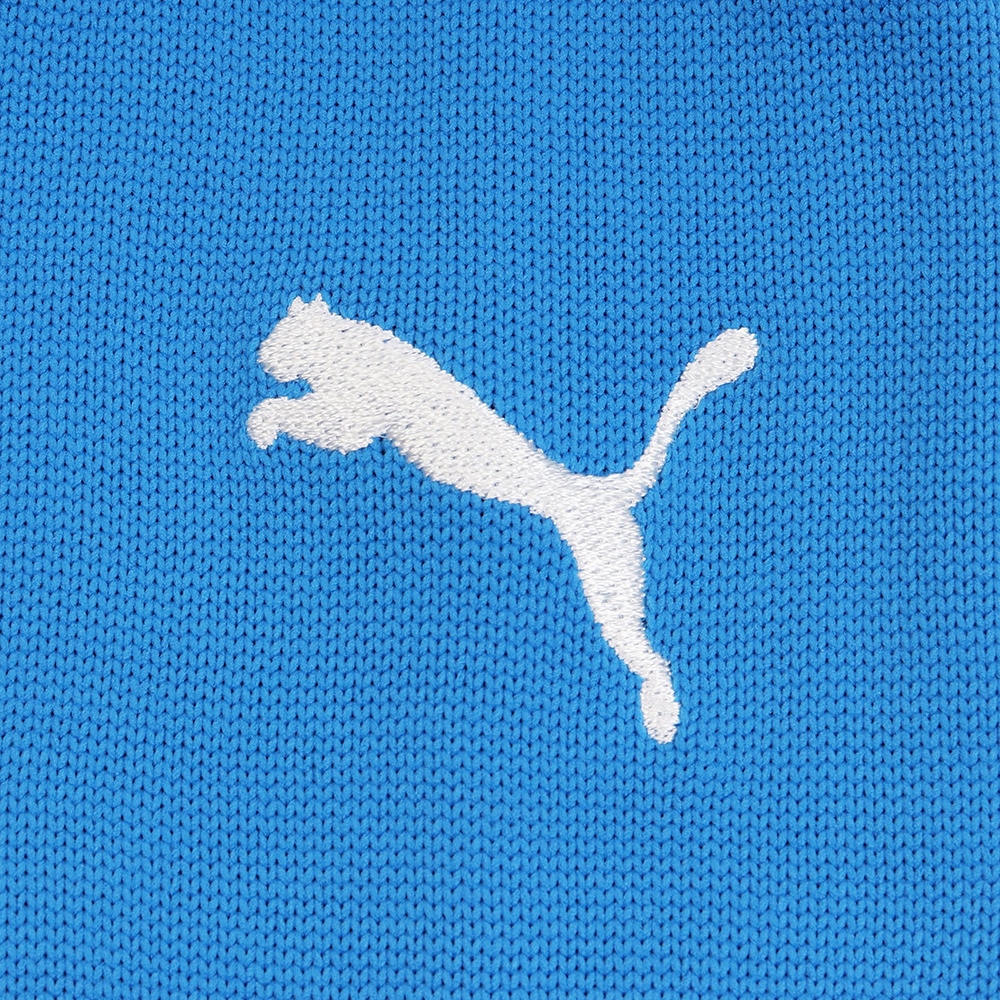 プーマ（PUMA）（メンズ）ライン入り ストッキング 72988102