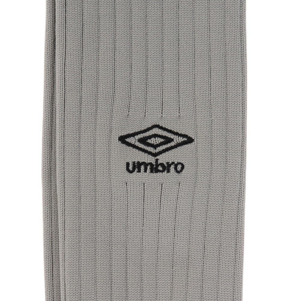 アンブロ（UMBRO）（メンズ）サッカー ソックス 靴下 ラインストッキング 25～27cm UAS8310 SLV27