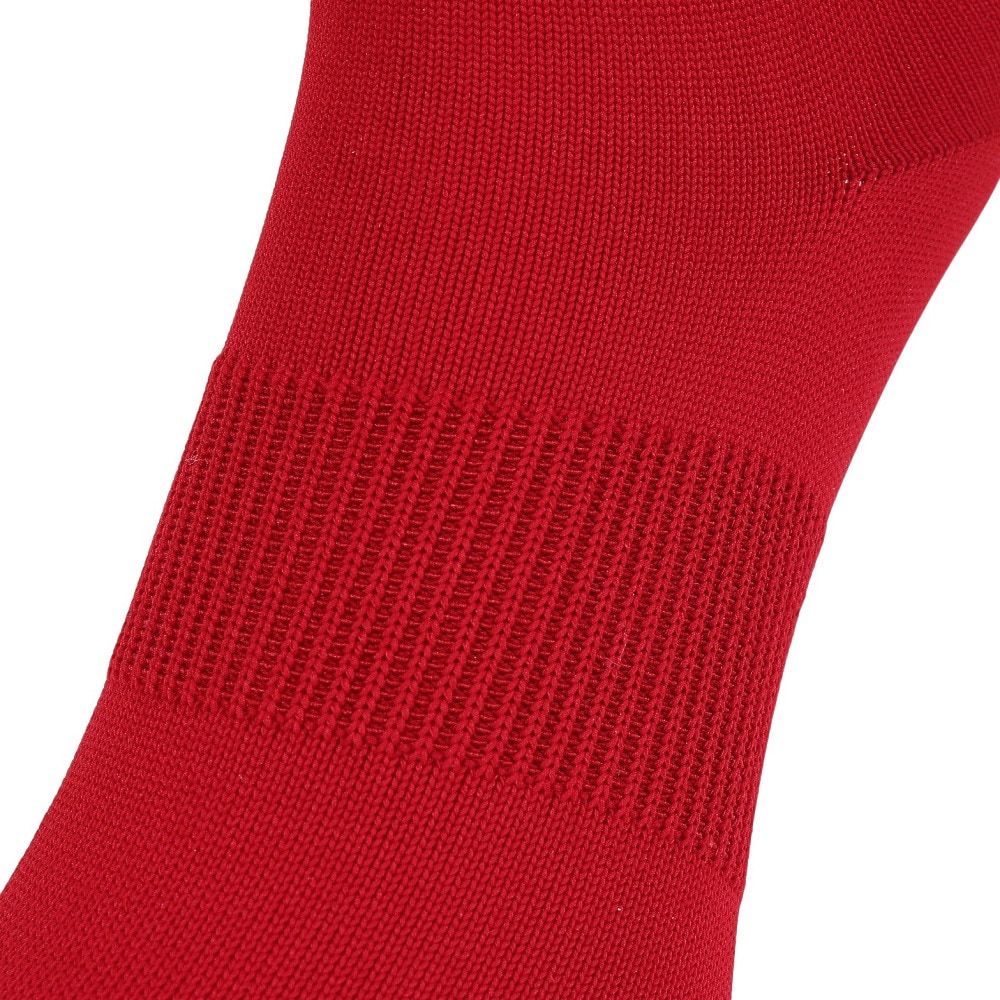 ミズノ（MIZUNO）（メンズ、レディース、キッズ）サッカー ソックス 靴下 ストッキング P2MXC00062