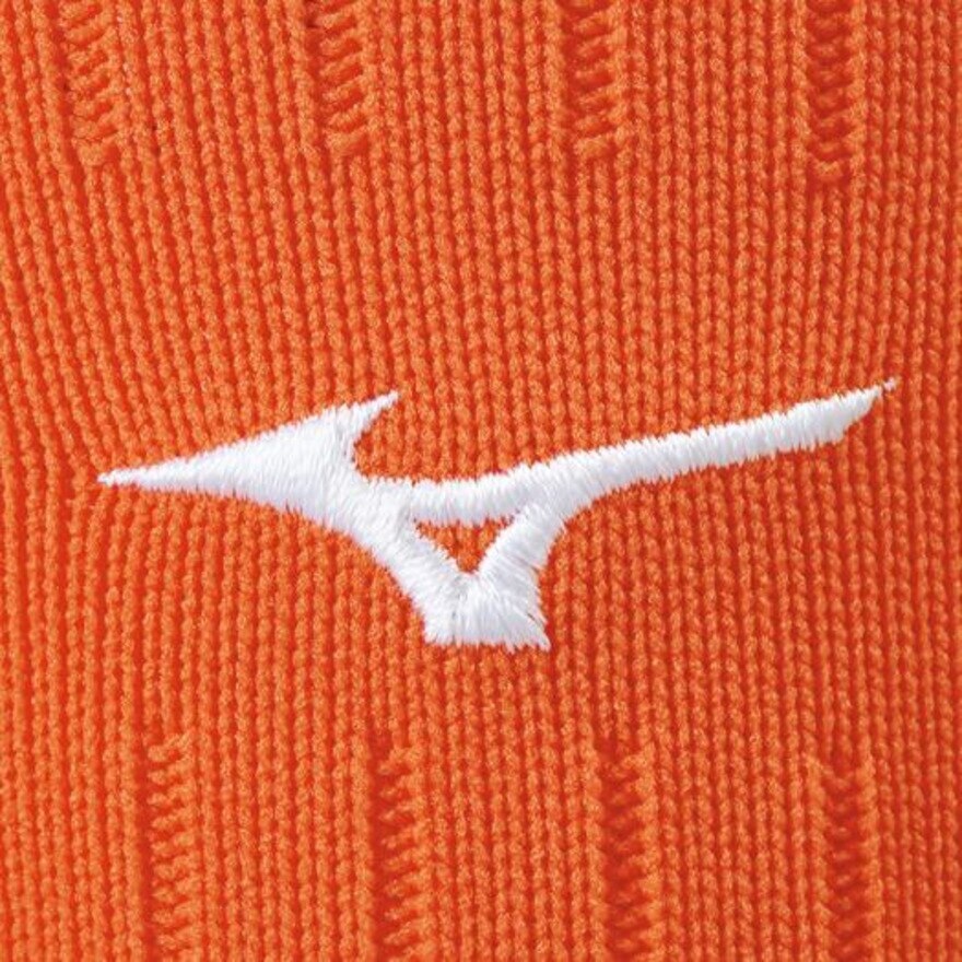 ミズノ（MIZUNO）（キッズ）サッカー ソックス ジュニア 無地 ストッキング P2MX806354 靴下
