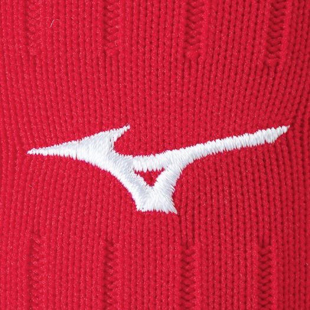 ミズノ（MIZUNO）（キッズ）サッカー ソックス ジュニア T TM 無地 ストッキング P2MX806462 靴下