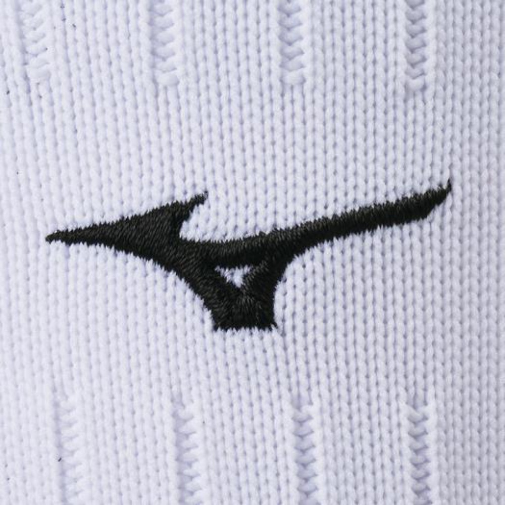 ミズノ（MIZUNO）（キッズ）サッカー ソックス ジュニア ストッキング(18-21cm) P2MX806479 靴下 子供