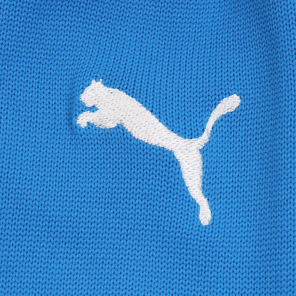 プーマ（PUMA）（キッズ）サッカー ソックス ジュニア LIGA ストッキング 72988002 靴下