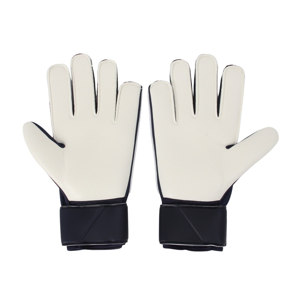 ナイキ（NIKE）（メンズ、レディース）キーパーグローブ サッカー ゴールキーパー マッチ HO23 FJ4862-420