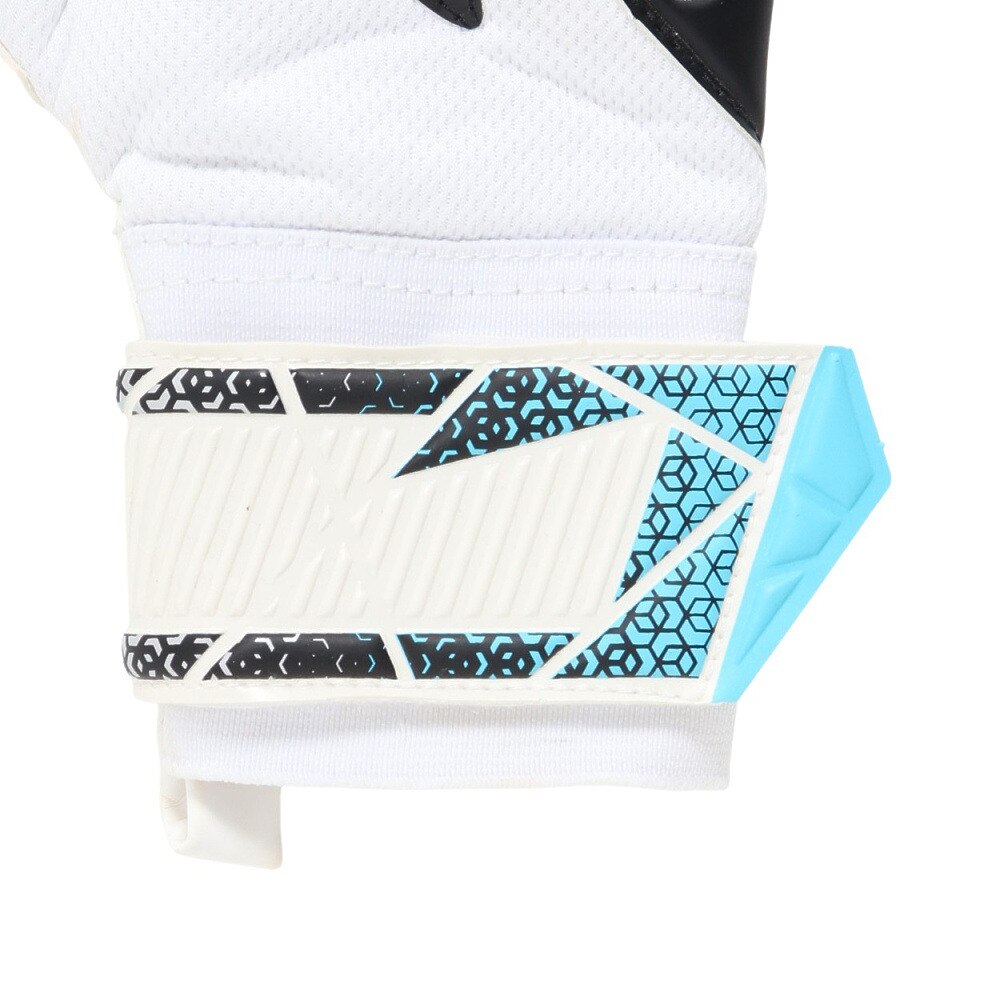 ロイシュ（REUSCH）（メンズ、レディース）キーパーグローブ サッカー アトラクト シルバー 5560215-1125