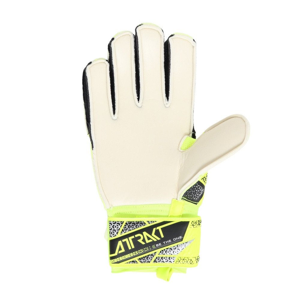 ロイシュ（REUSCH）（メンズ、レディース）キーパーグローブ サッカー