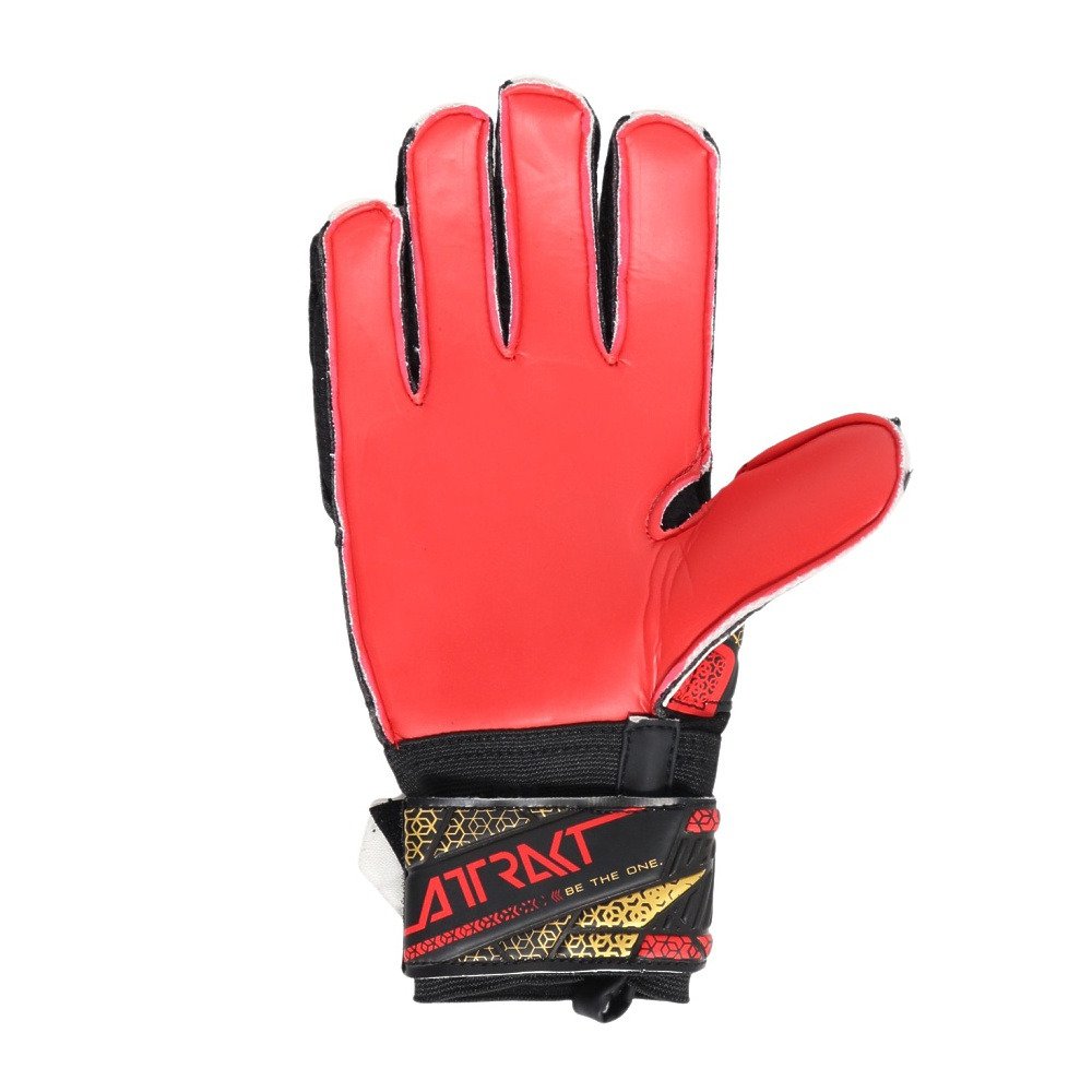 ロイシュ（REUSCH）（メンズ、レディース）キーパーグローブ サッカー アトラクト ソリッド 5560515-7075