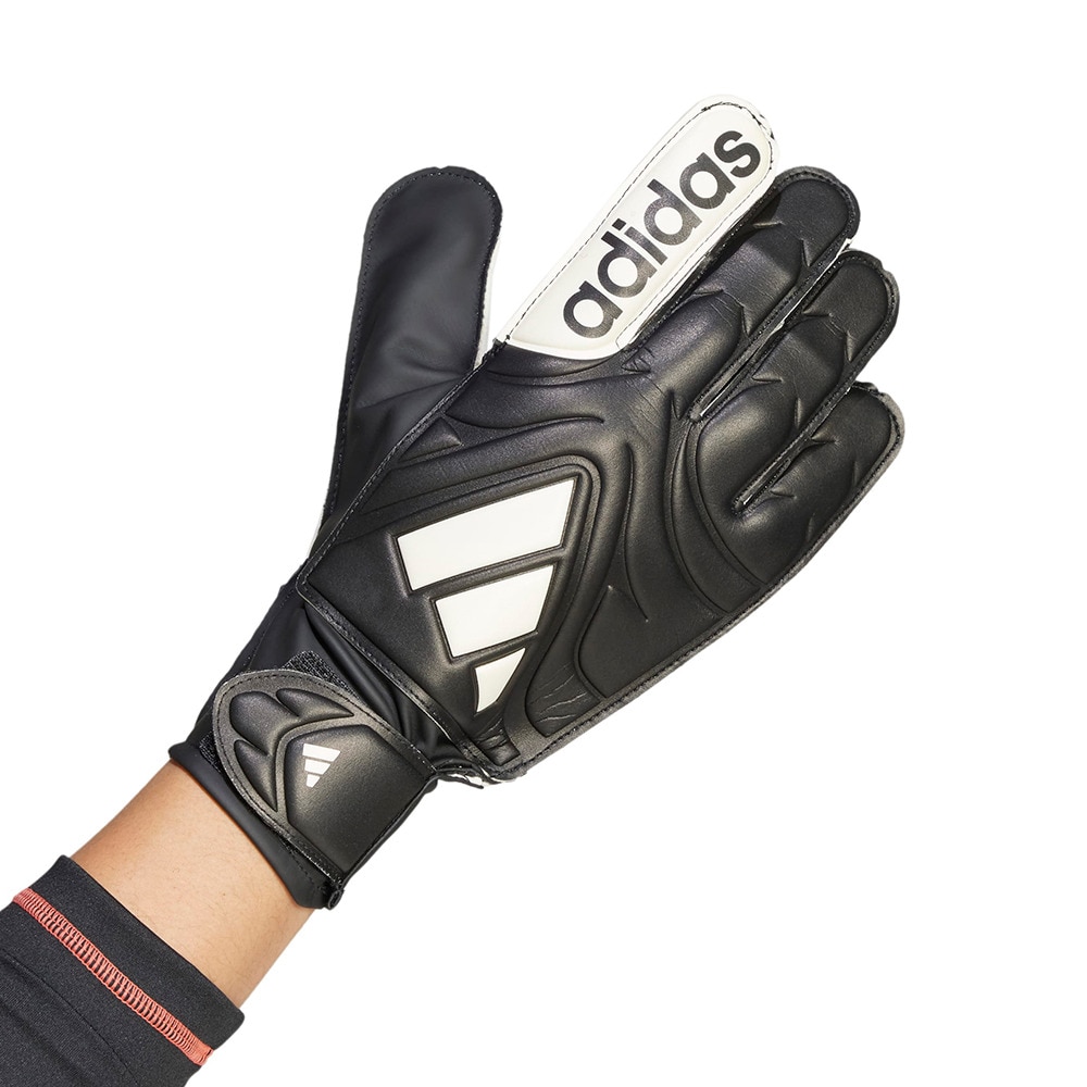 アディダス（adidas）（メンズ）サッカー コパ クラブ ゴールキーパーグローブ KWA37-JY0625