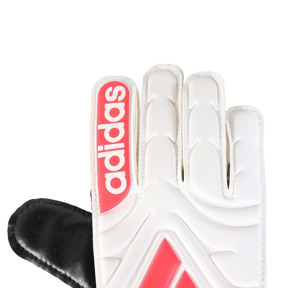アディダス（adidas）（キッズ）ジュニア ゴールキーパーグローブ サッカー COPA CLUB KWA38-JH3792