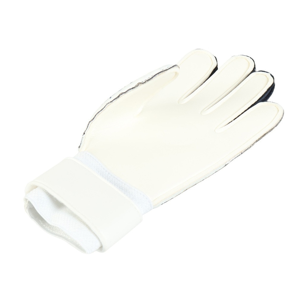 ウールシュポルト（uhlsport）（メンズ）キーパーグローブ サッカー ホライズン ソフト プロ 両手用 1011311-02