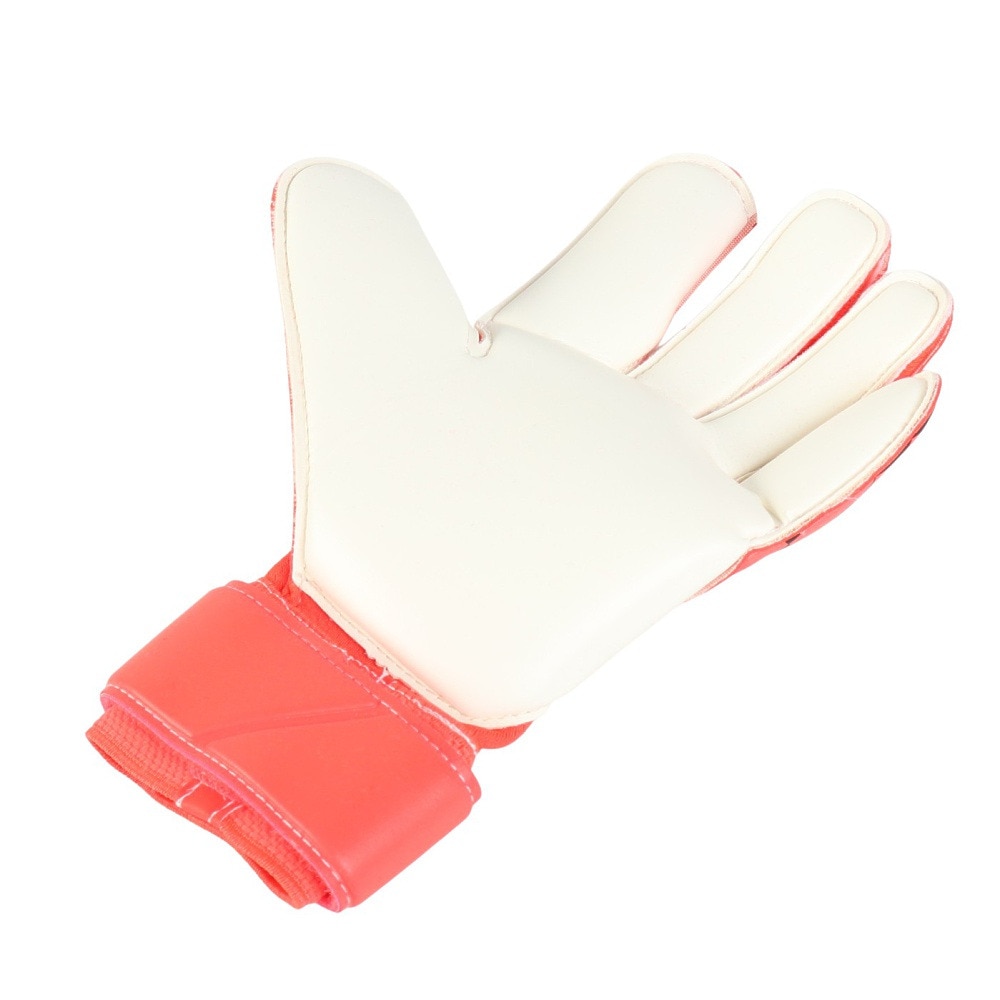 ナイキ（NIKE）（メンズ）キーパーグローブ サッカー グリップ3 HQ0256-635
