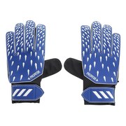 ゴールキーパー用品 スーパースポーツゼビオ