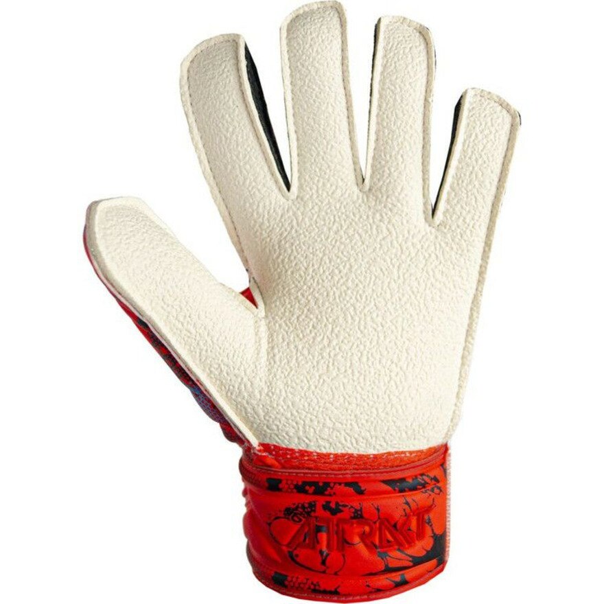 ロイシュ（REUSCH）（キッズ）ジュニア キーパーグローブ サッカー アトラクト レジスト 5362615-3334