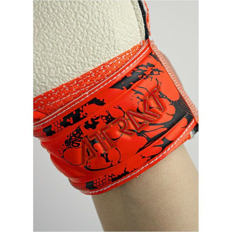 ロイシュ（REUSCH）（キッズ）ジュニア キーパーグローブ サッカー アトラクト レジスト 5362615-3334