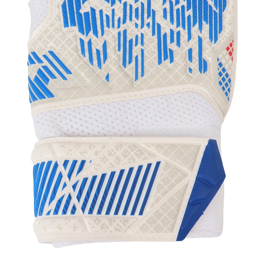 ロイシュ（REUSCH）（キッズ）ジュニア キーパーグローブ サッカー アトラクト ソリッド 5462016-8901
