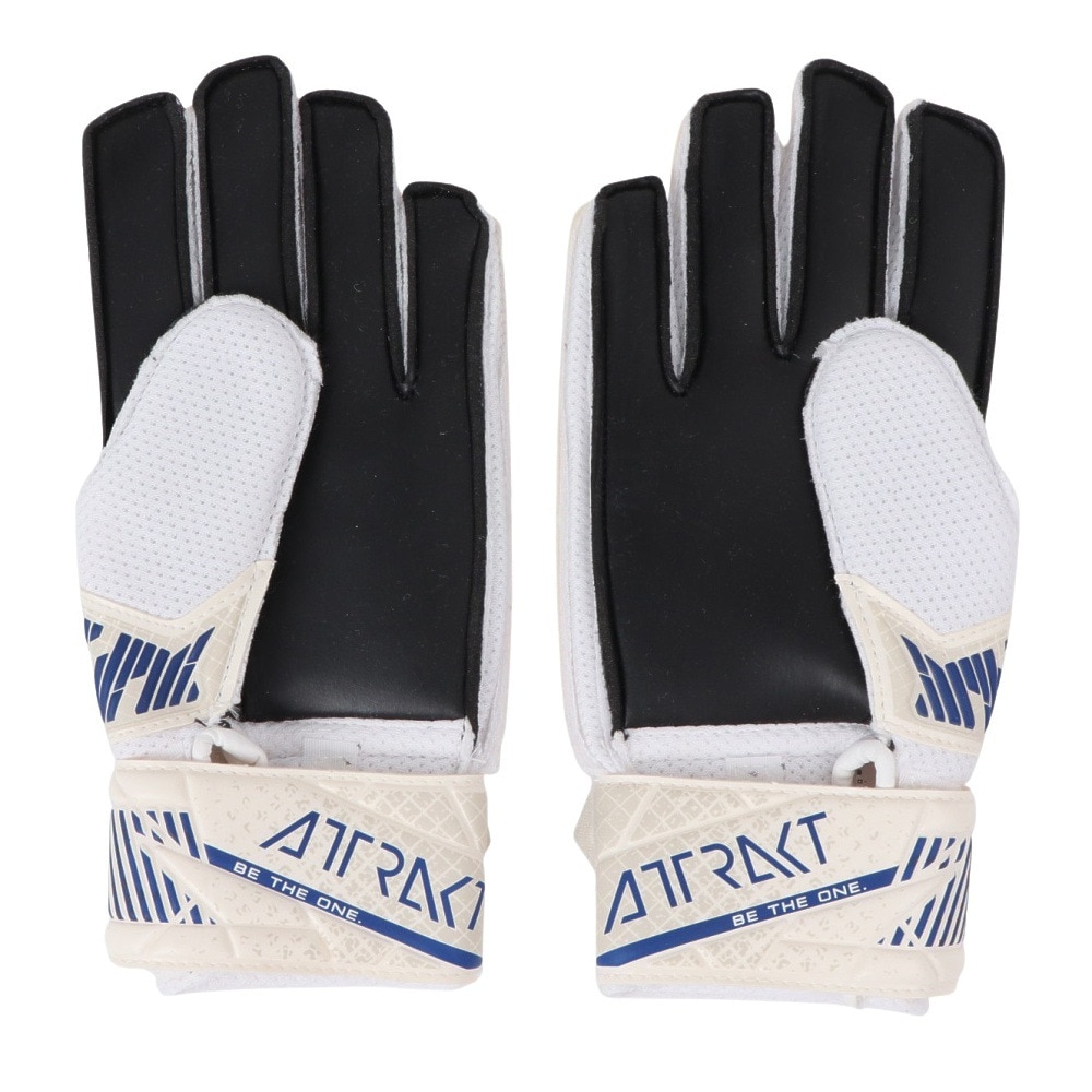 ロイシュ（REUSCH）（キッズ）ジュニア キーパーグローブ サッカー アトラクト ソリッド 5462016-8906