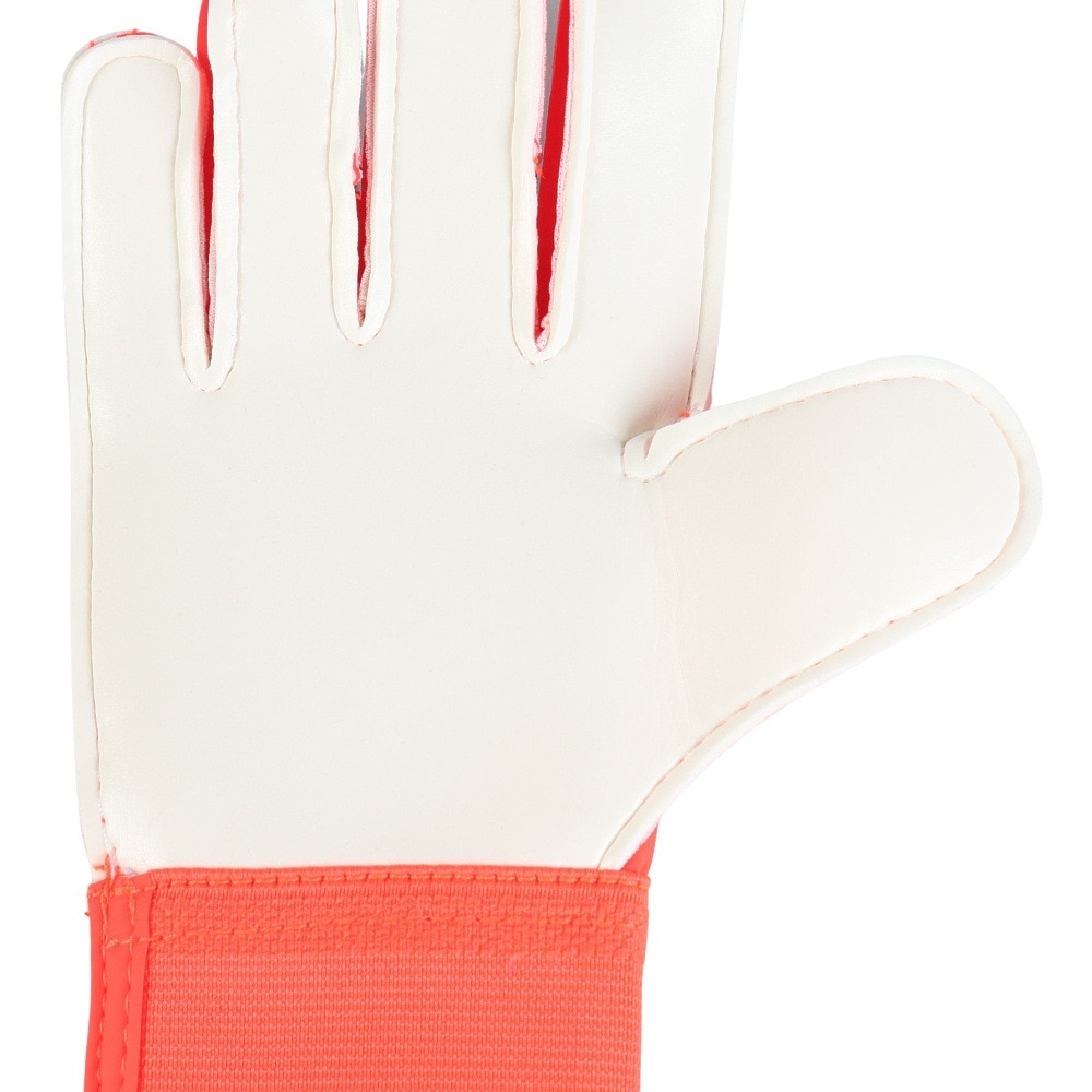アディダス（adidas）（キッズ）ジュニアキーパーグローブ サッカー プレデター トレーニング  ゴールキーパーグローブ JTJ65-IX3872