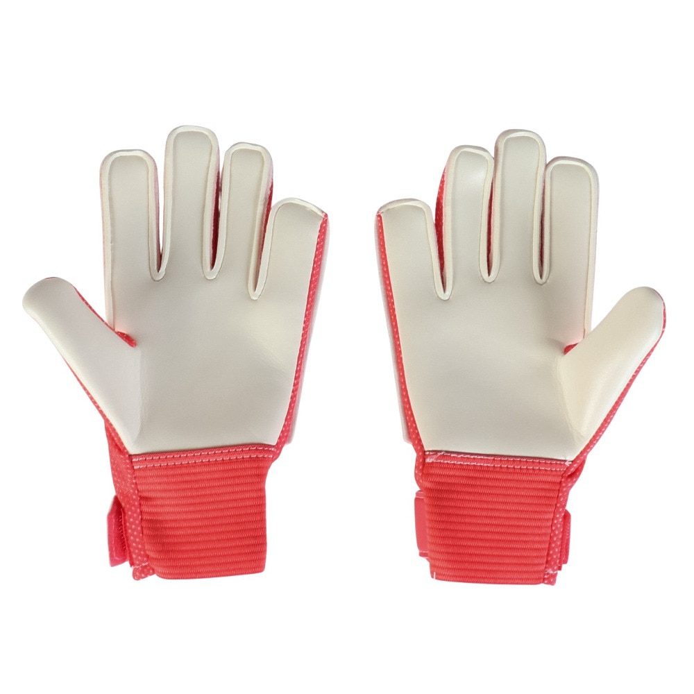 ナイキ（NIKE）（キッズ）ジュニア キーパーグローブ サッカー マッチ HQ0258-850
