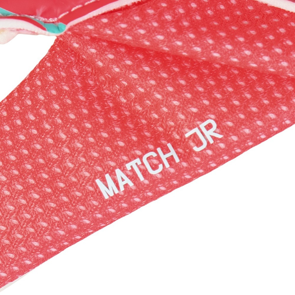 ナイキ（NIKE）（キッズ）ジュニア キーパーグローブ サッカー マッチ HQ0258-850