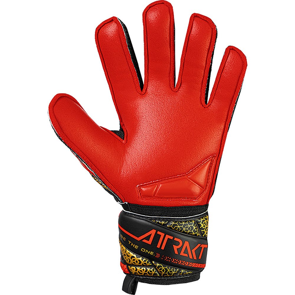 ロイシュ（REUSCH）（キッズ）キーパーグローブ サッカー アトラクト