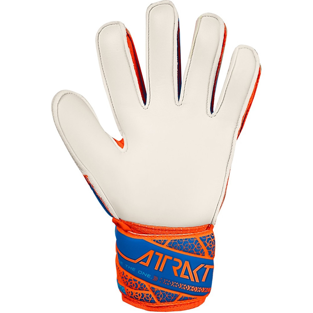 ロイシュ（REUSCH）（キッズ）キーパーグローブ サッカー アトラクト ソリッド ジュニア 5562515-2290
