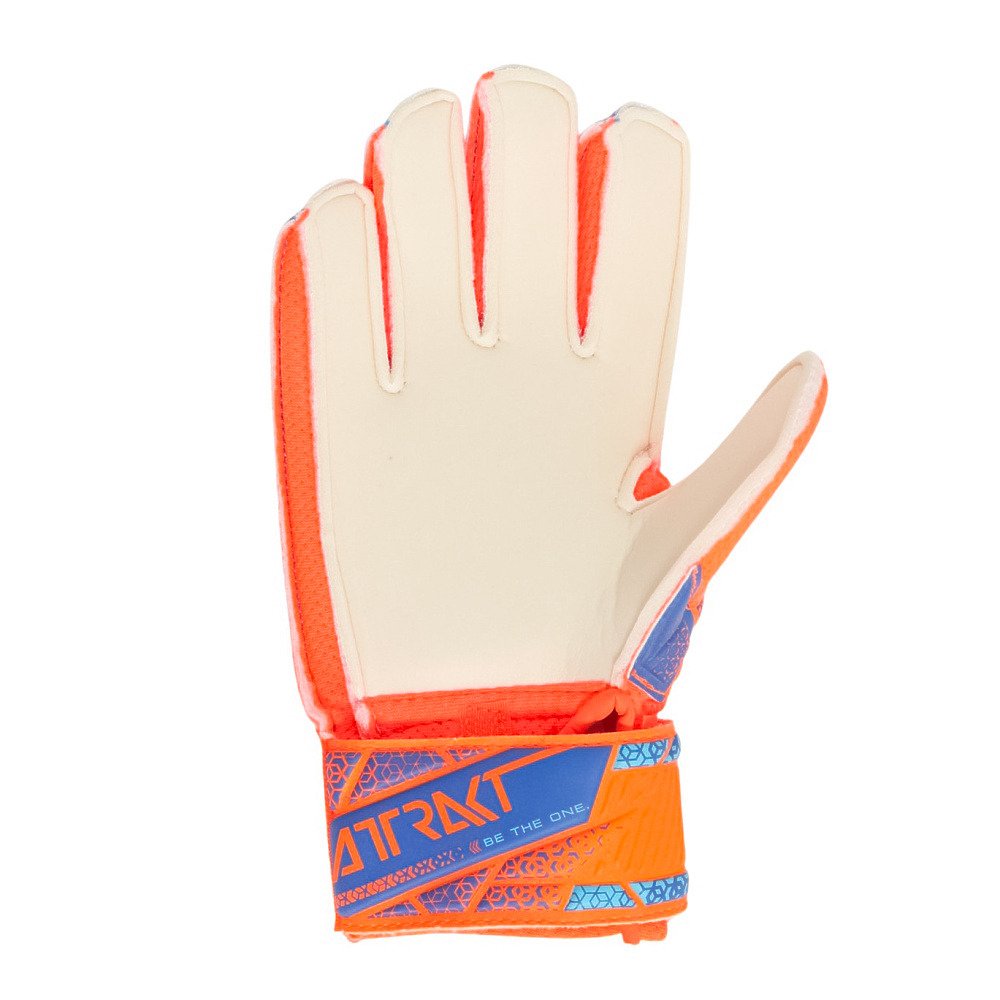 ロイシュ（REUSCH）（キッズ）キーパーグローブ サッカー アトラクト