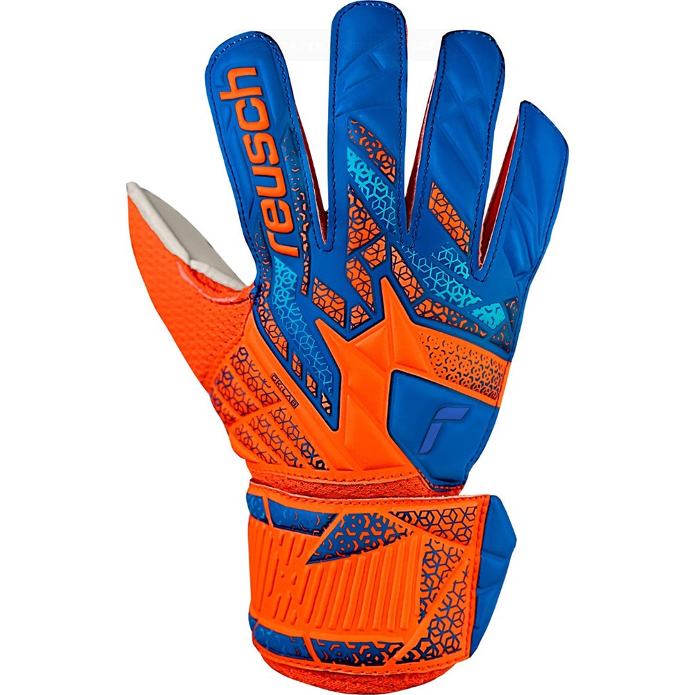 ロイシュ（REUSCH）（キッズ）キーパーグローブ サッカー アトラクト ソリッド ジュニア 5562515-2290