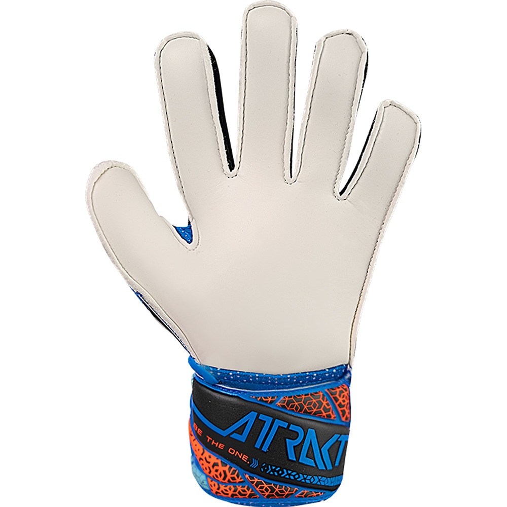 ロイシュ（REUSCH）（キッズ）キーパーグローブ サッカー アトラクト ソリッド ジュニア 5562515-4467