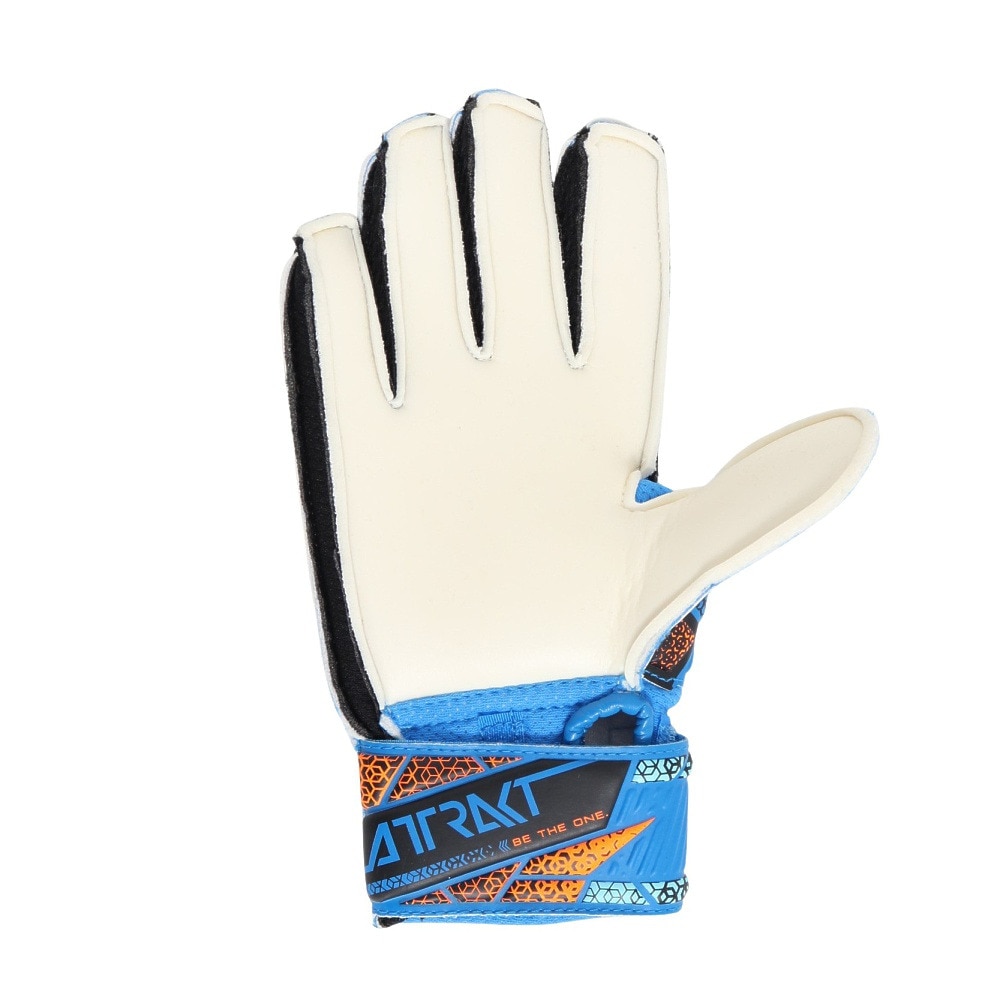 ロイシュ（REUSCH）（キッズ）キーパーグローブ サッカー アトラクト