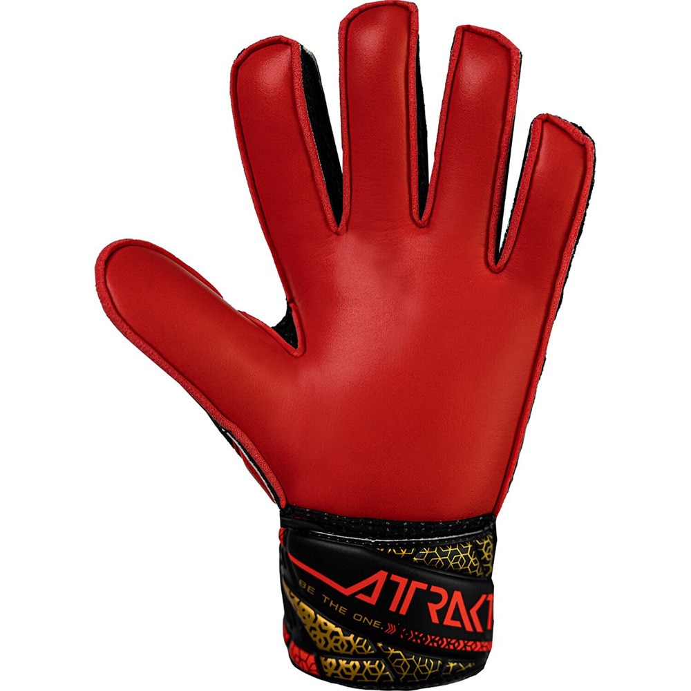 ロイシュ（REUSCH）（キッズ）キーパーグローブ サッカー アトラクト ソリッド ジュニア 5562515-7075