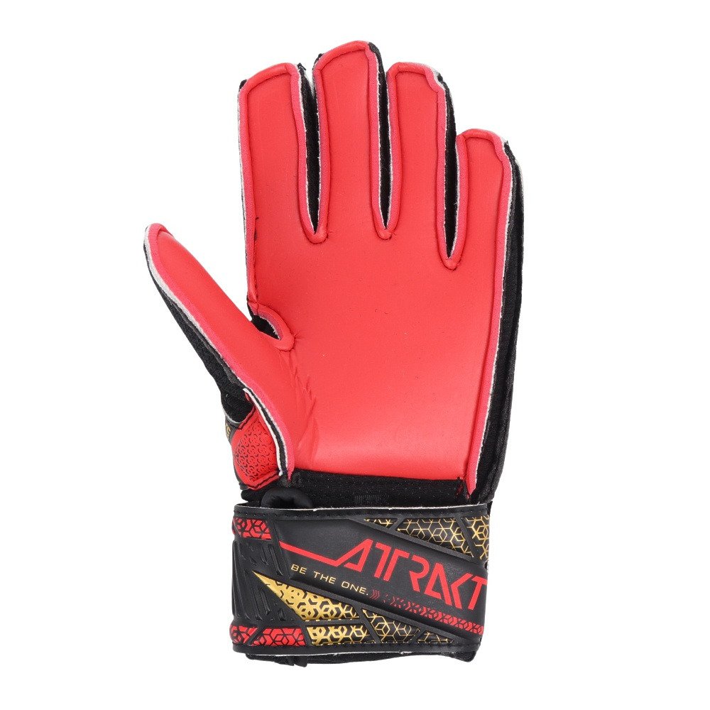 ロイシュ（REUSCH）（キッズ）キーパーグローブ サッカー アトラクト