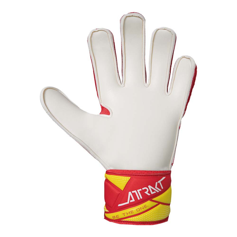 ロイシュ（REUSCH）（キッズ）キーパーグローブ サッカー アトラクト