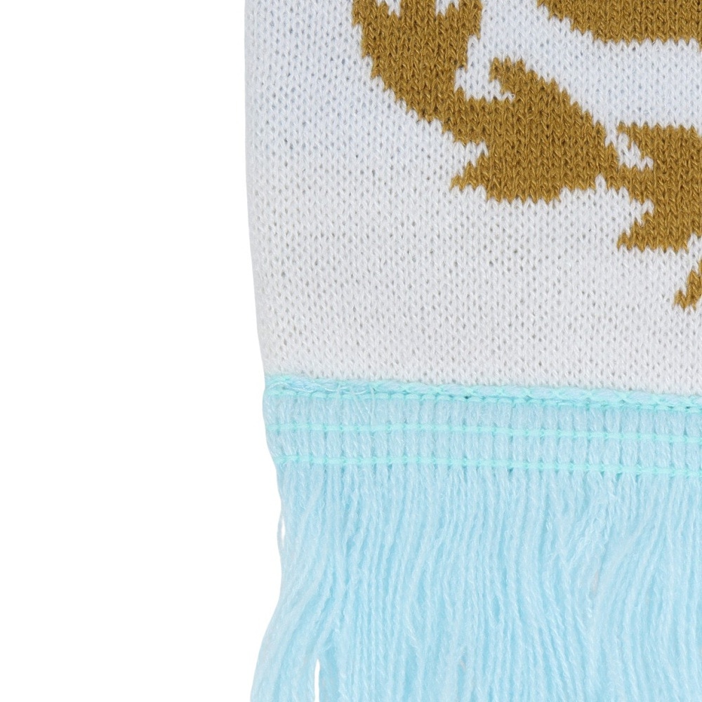 アディダス（adidas）（メンズ、レディース）アルゼンチン代表 スカーフ マフラー II749-KE1385