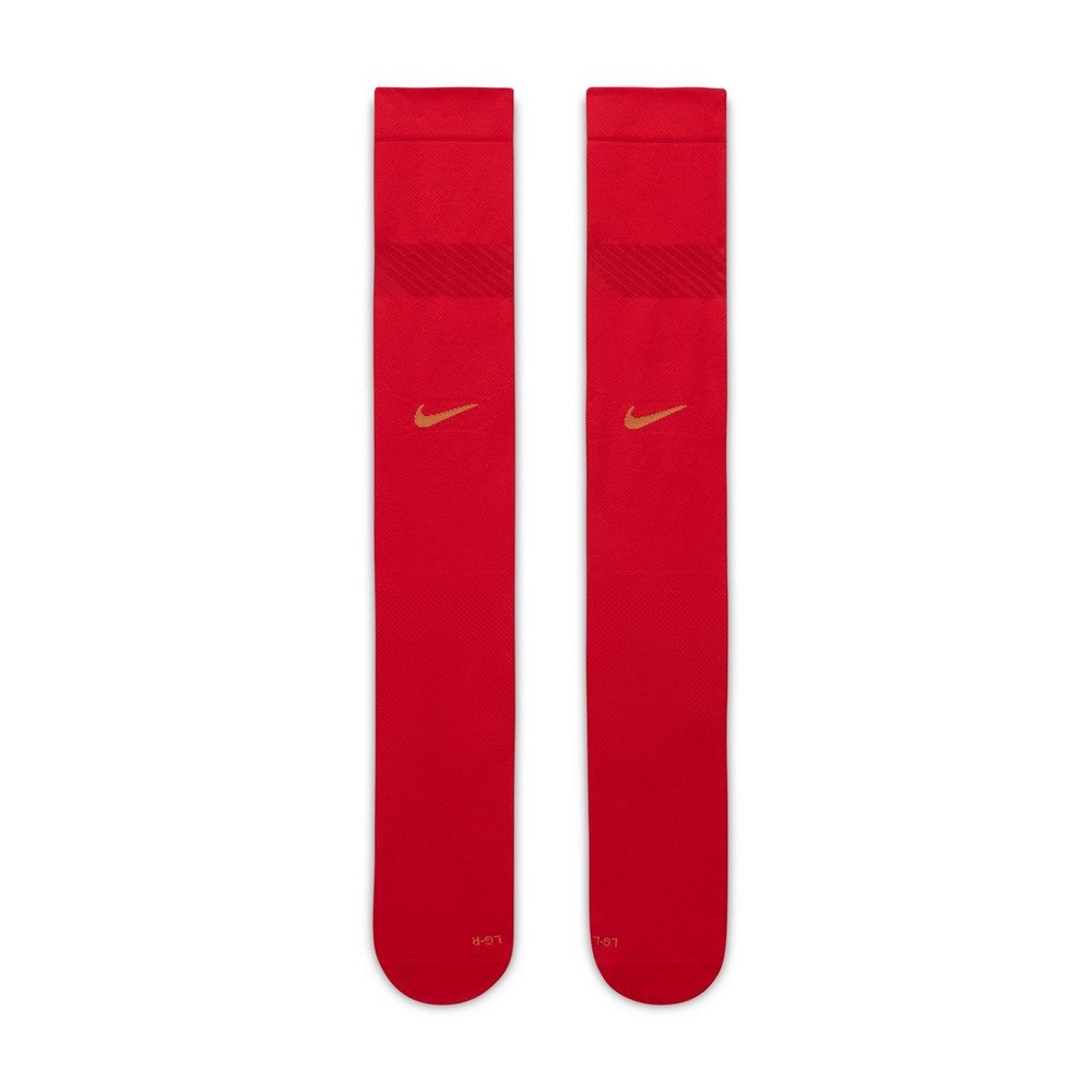 ナイキ（NIKE）（メンズ、レディース）FFF VaporFast ホーム レプリカ