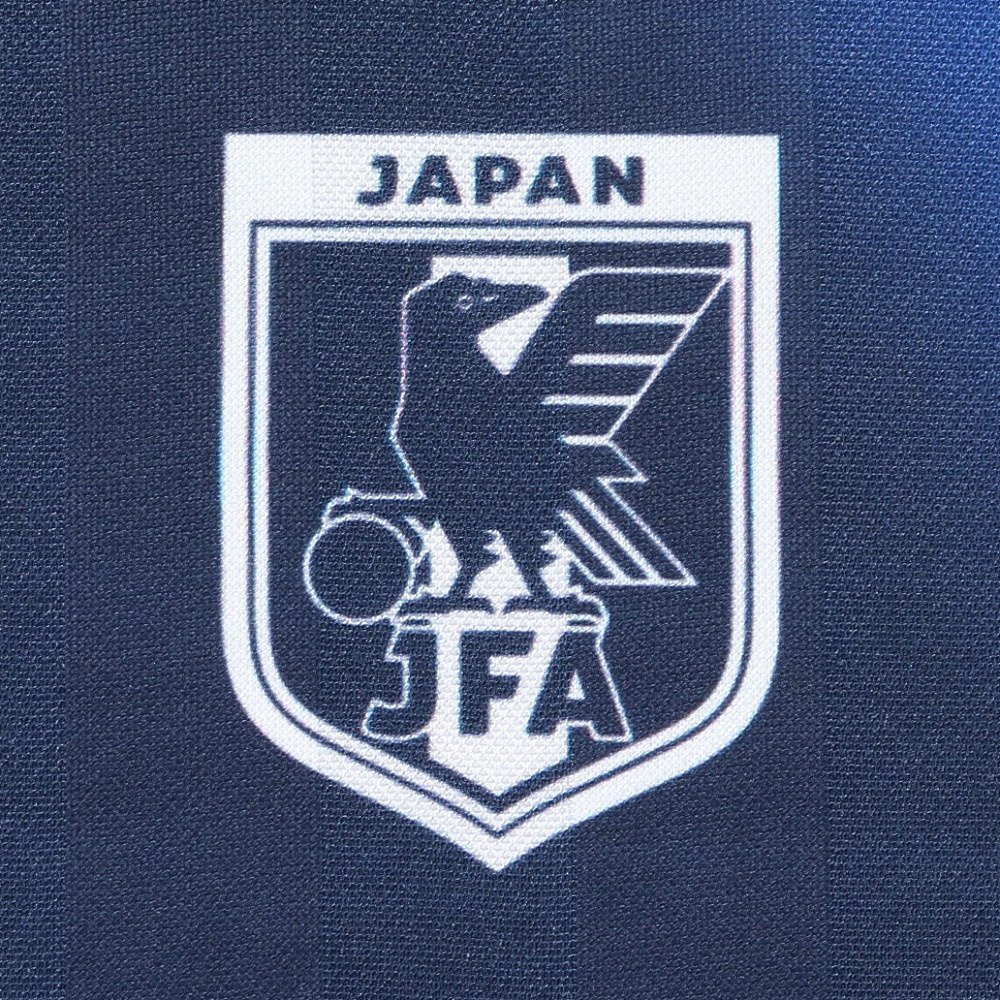 日本サッカー協会（JFA）（メンズ）シャドーストライプ 長袖 Tシャツ L