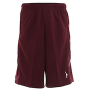 インザペイント(IN THE PAINT)(メンズ、レディース) バスケットボールウェア ショーツ ITP22312