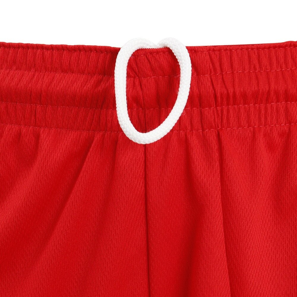 ナイキ（NIKE）（メンズ）バスパン バスケットボールウェア HP Dri-FIT ハイブリッド ショートパンツ 3.0 DH6764-657
