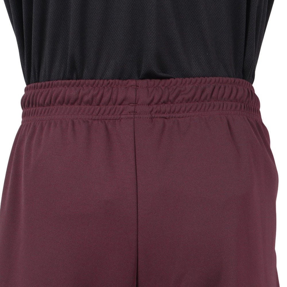 インザペイント（IN THE PAINT）（メンズ、レディース）バスパン バスケットボールウェア ショートパンツ ITP23311WINE