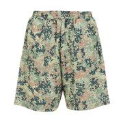 オリーブ（在庫なし）