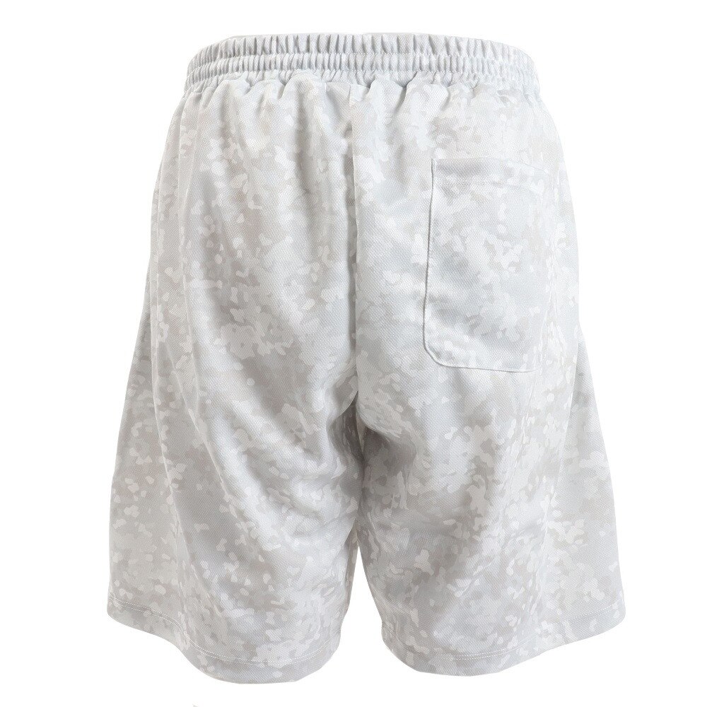 アクター（AKTR）（メンズ）バスパン バスケットボールウェア FLECKTARN ショートパンツ 123-012002 WH