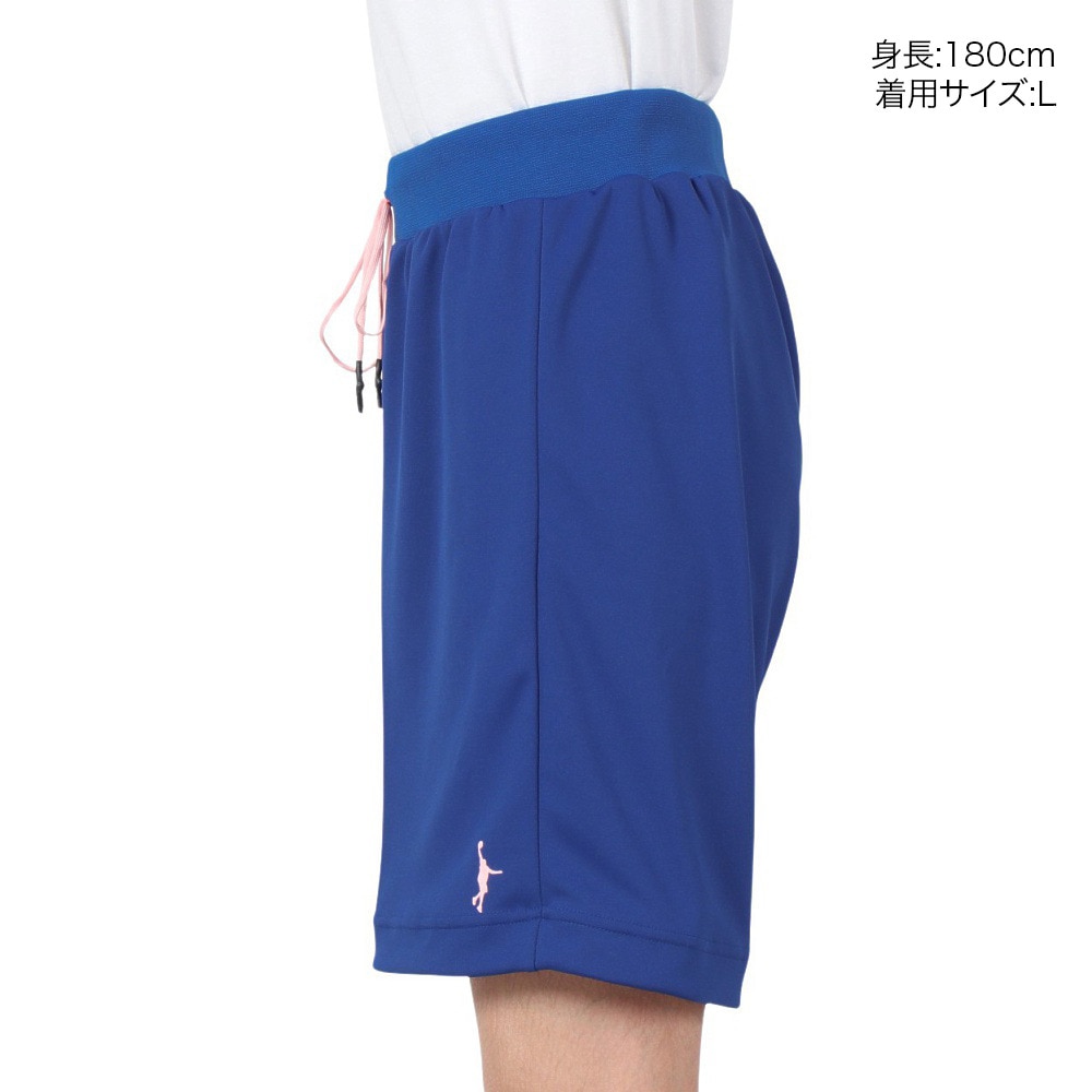 インザペイント（IN THE PAINT）（メンズ）バスケットボールウェア パンツ SHORTS ITP24308ROY