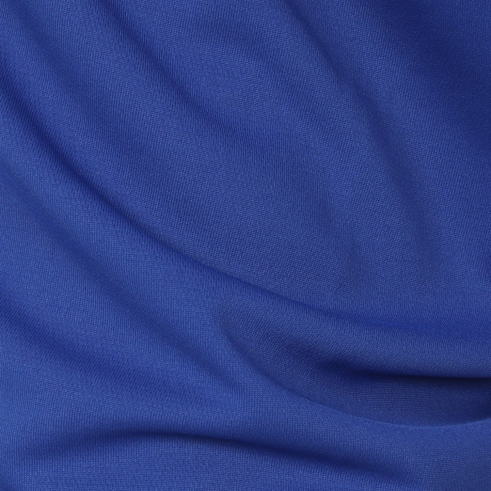 インザペイント（IN THE PAINT）（メンズ）バスケットボールウェア パンツ SHORTS ITP24308ROY