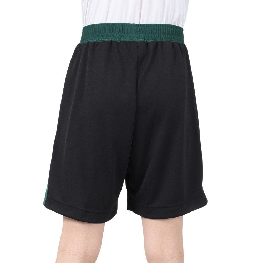 インザペイント（IN THE PAINT）（メンズ）バスケットボールウェア ハーフパンツ ITP24322BLK/GRN 速乾
