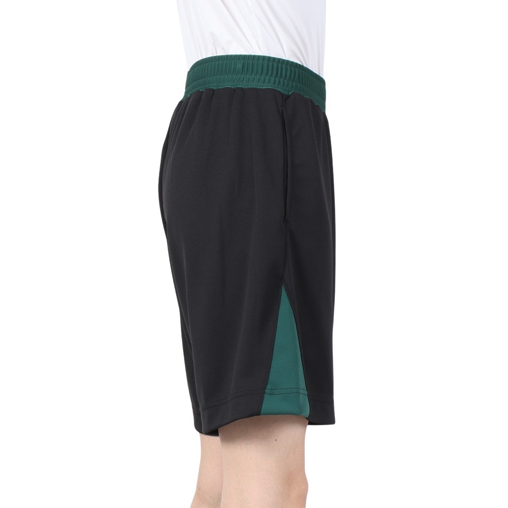 インザペイント（IN THE PAINT）（メンズ）バスケットボールウェア ハーフパンツ ITP24322BLK/GRN 速乾