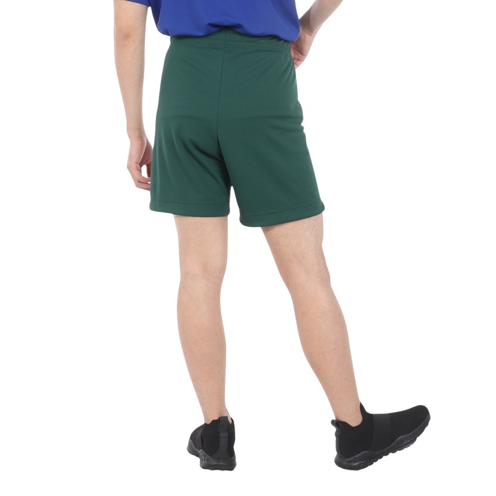 インザペイント（IN THE PAINT）（メンズ）バスケットボールウェア パンツ SHORTS ITP24336GRN