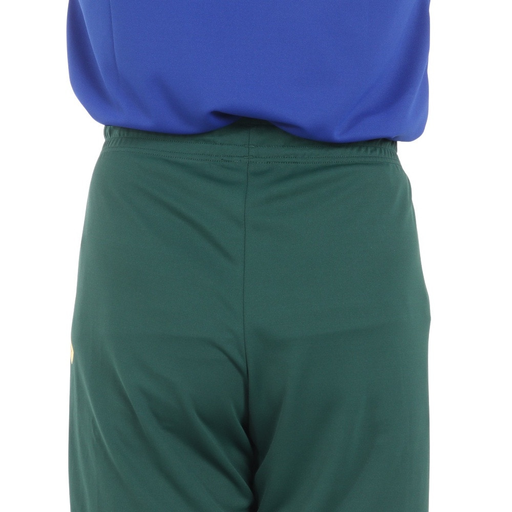 インザペイント（IN THE PAINT）（メンズ）バスケットボールウェア パンツ SHORTS ITP24336GRN