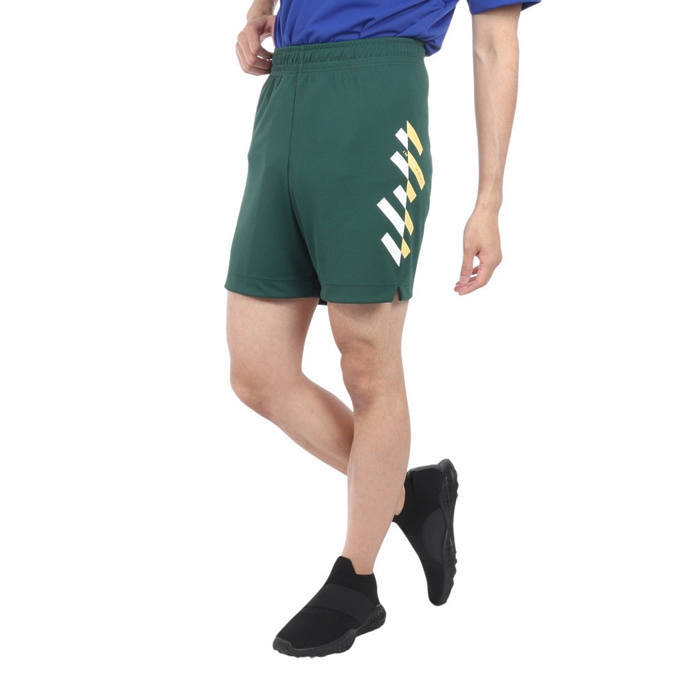 インザペイント（IN THE PAINT）（メンズ）バスケットボールウェア パンツ SHORTS ITP24336GRN
