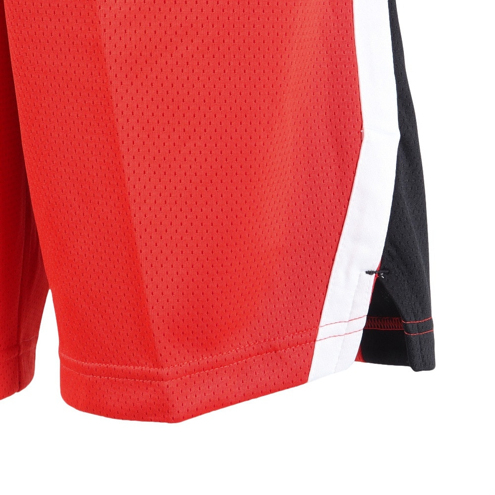 ジョーダン（JORDAN）（メンズ）バスケットボールウェア 日本限定ロード ショートパンツ FQ0393-673