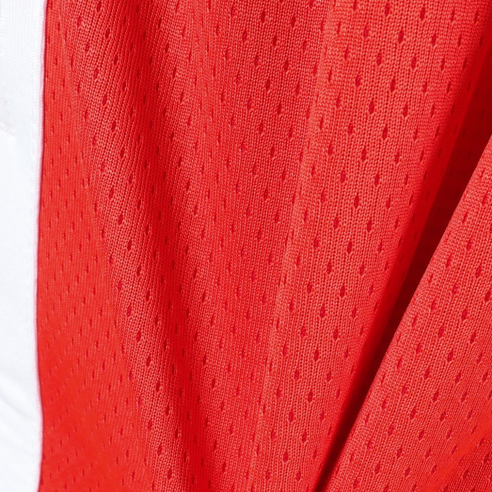ジョーダン（JORDAN）（メンズ）バスケットボールウェア 日本限定ロード ショートパンツ FQ0393-673